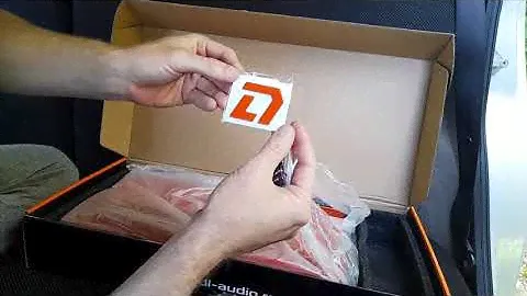 Распаковка, внешний обзор и установка DL Audio Raven 4.135 v.2