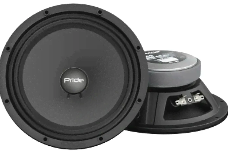 Колонки для автомобиля Динамики Pride Solo mini 6,5 v2 (100 Вт) 16,5 см, 16.5 см (6.5 дюйм.)-0