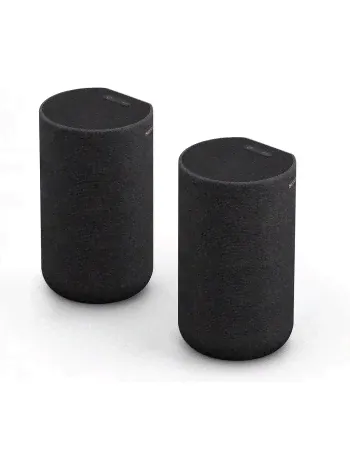 Беспроводные динамики Sony SA-RS5 EU-0