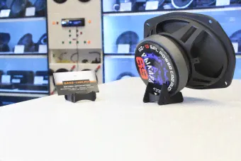 Широкополосные динамики AZ-13 «РЫКАРЬ -69»-1