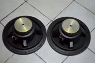 Ноэма 100ГДШ33-8 Широкополосные динамики 12". 2шт
