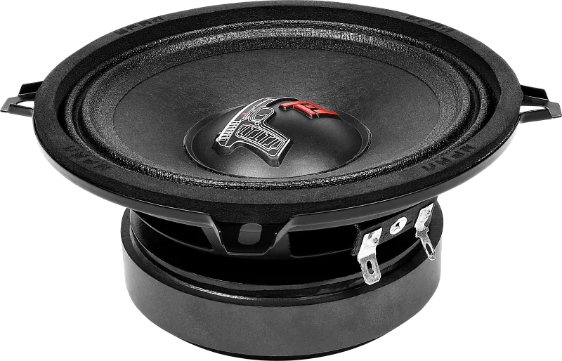 Эстрадные динамики Ural TT 130.2-1
