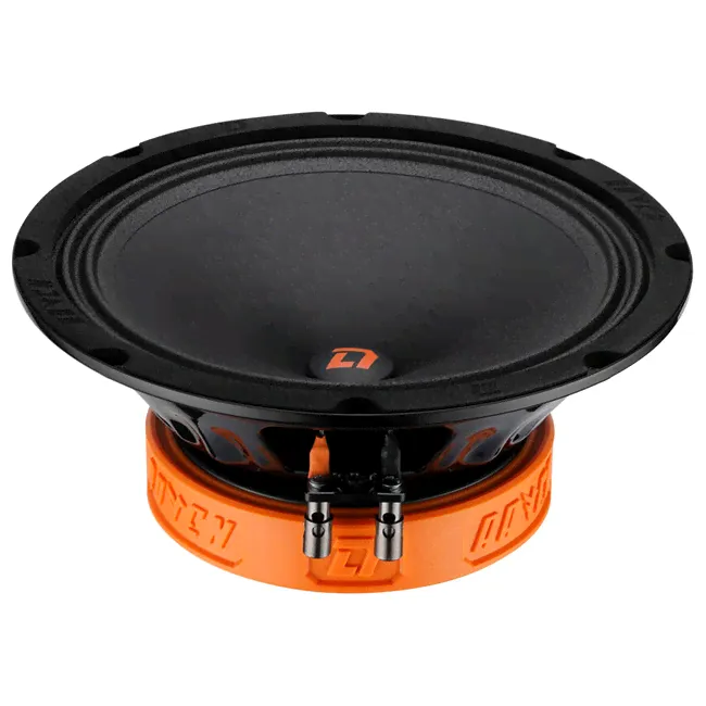 Среднечастотные динамики DL Audio Raven 200