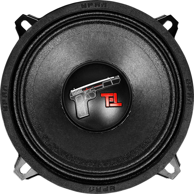 Эстрадные динамики Ural TT 130.2