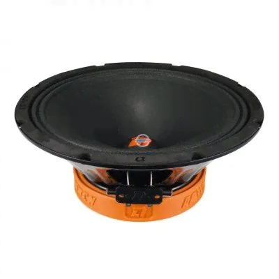Динамики DL Audio Raven 250-0